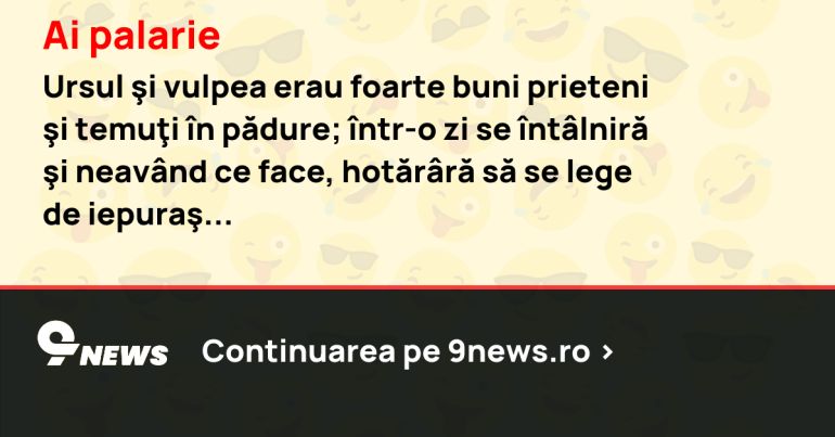 Ai palarie