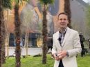 Unde au ajuns palmierii plantați de Robert Negoiță la Unirii și scoși de Nicușor Dan. Primarul Sectorului 3: „De-aia am adus, că nu s-a mai văzut”