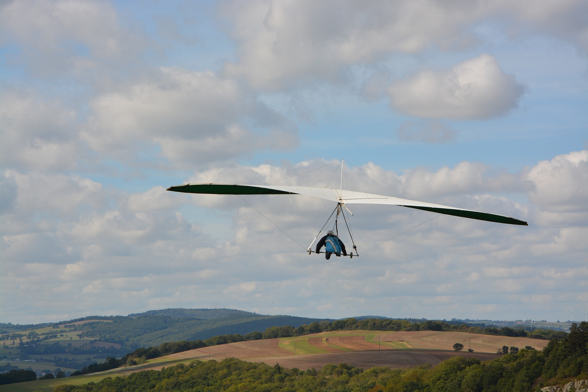 Parapantist rănit grav de un vultur auriu în timpul zborului în Franța