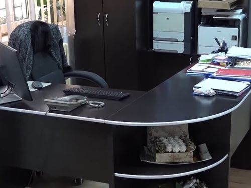 Eleva din Oradea care și-a înjunghiat pedagogul, reținută pentru tentativă de omor. Incidentul s-a petrecut chiar în biroul directoarei școlii, de față cu diriginta și mama