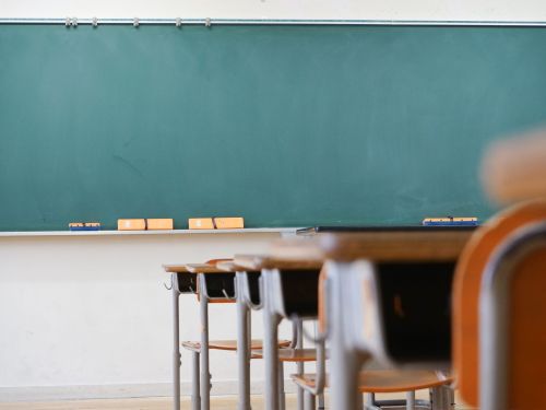 O nouă materie va fi obligatorie începând cu noul an școlar. Anunțul făcut de ministrul Ligia Deca