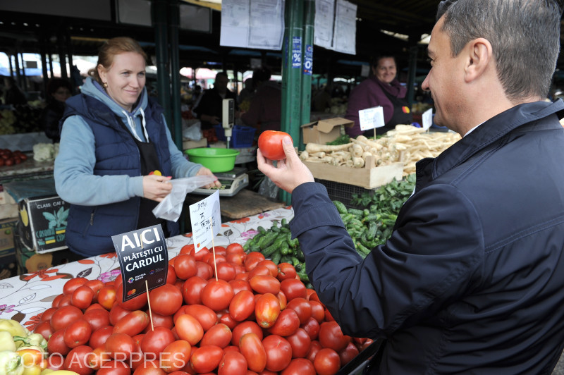 Programul Tomata, un eșec: legumicultorii, nevoiți să-și vândă roșiile pe degeaba