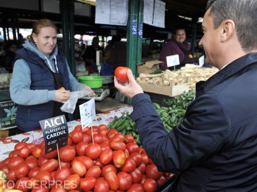 Programul Tomata, un eșec: legumicultorii, nevoiți să-și vândă roșiile pe degeaba