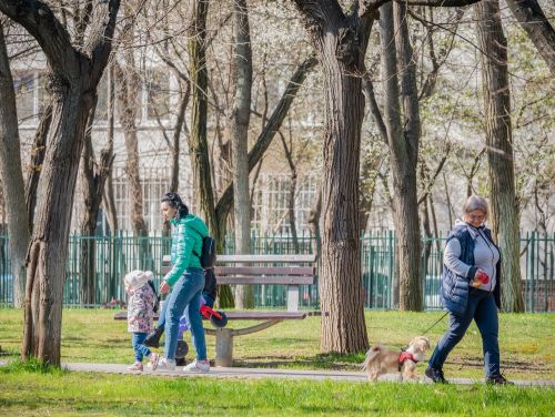 A fost aprobată „Legea mersului pe jos”! De când vor trebui marile orașe să încurajeze mișcarea și să reducă poluarea în trafic