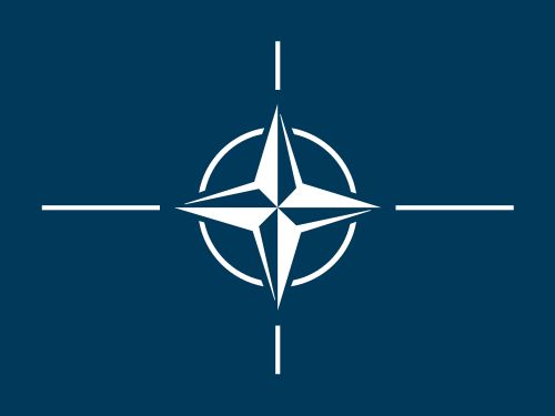 Creșterea tensiunilor regionale determină țările vecine Rusiei să solicite reintroducerea serviciului militar obligatoriu în NATO
