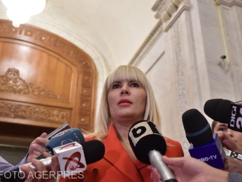 Elena Udrea, mesaj din pușcărie înainte de campania electorală: „O soluție pragmatică ar fi...”
