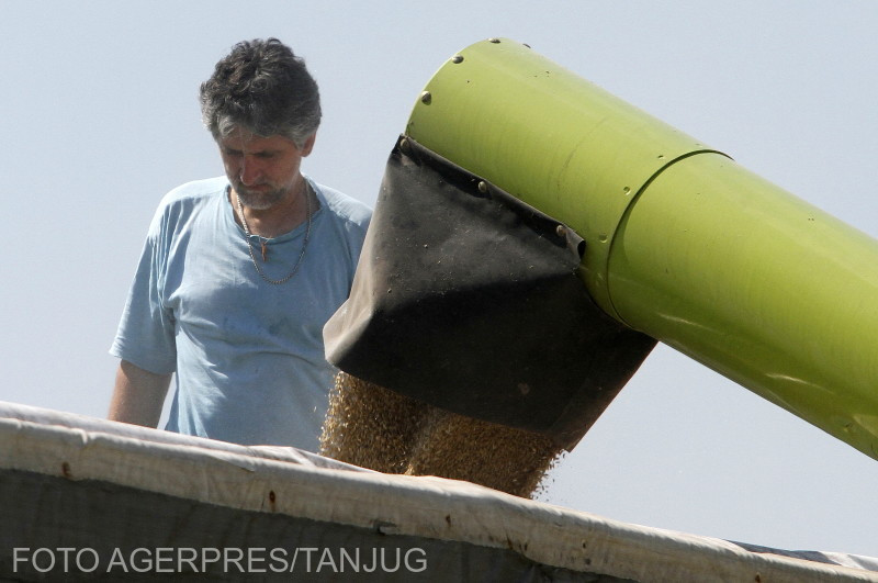 Fermierii noștri au obținut ce și-au dorit: cerealele ucrainene, interzise în România