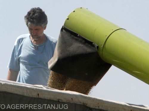 Fermierii noștri au obținut ce și-au dorit: cerealele ucrainene, interzise în România