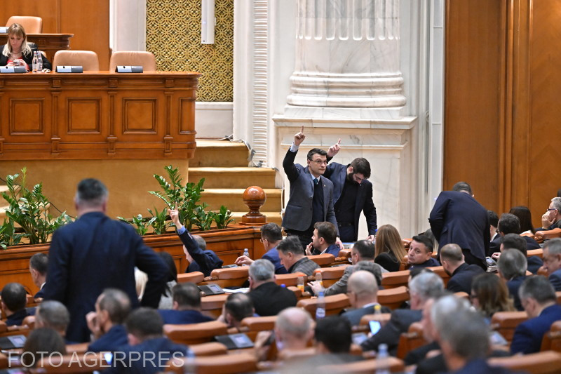 Legea pentru accesul liber al persoanelor cu handicap și câinilor ghizi în transportul public a fost adoptată