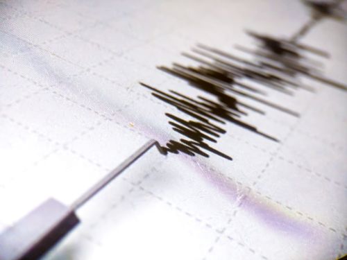 Cutremur de magnitudine 3,9 în județul Buzău
