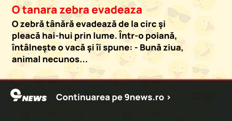 O tanara zebra evadeaza