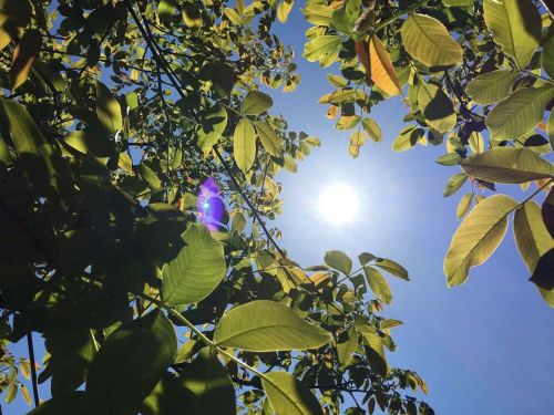 ANM emite avertizări severe de caniculă: Află unde se vor înregistra temperaturi record