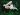 TOP patru zodii care sunt aproape imposibil de citit