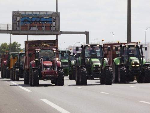Fermierii români și bulgari amenință cu proteste zilnice. Agricultorii sunt indignați de importul masiv de cereale din Ucraina