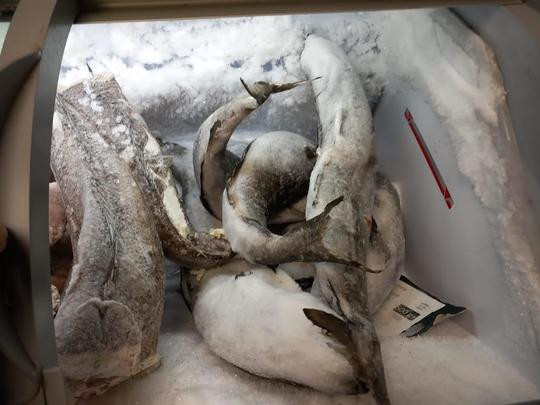 Mizerie și produse expirate în piețele din București, înainte de Paște. Comisarii ANPC au dat amenzi de aproape un milion de lei