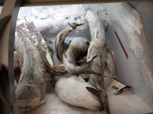 Mizerie și produse expirate în piețele din București, înainte de Paște. Comisarii ANPC au dat amenzi de aproape un milion de lei