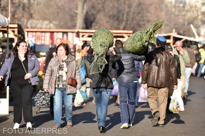 Statul la coadă, tradiție de sărbători. Cât a plătit un tânăr pe un brad, în ultima rundă de cumpărături, înainte de Crăciun