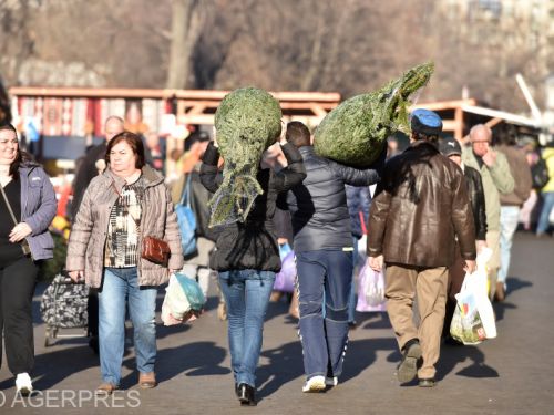 Statul la coadă, tradiție de sărbători. Cât a plătit un tânăr pe un brad, în ultima rundă de cumpărături, înainte de Crăciun