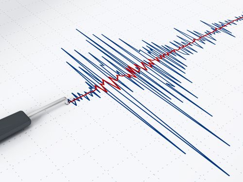 Cutremur în Vrancea. Unde a fost resimțit seismul