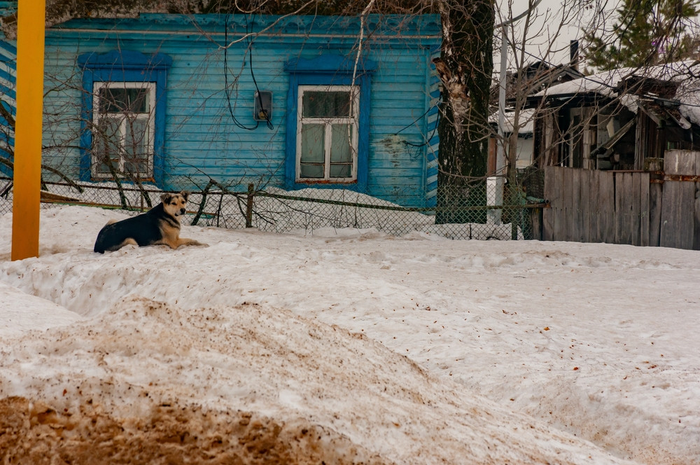 ANM: Se schimbă vremea în România. Unde va ninge și unde va ploua în următoarele zile