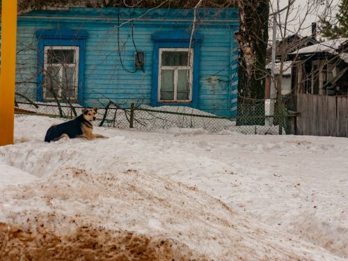 ANM: Se schimbă vremea în România. Unde va ninge și unde va ploua în următoarele zile