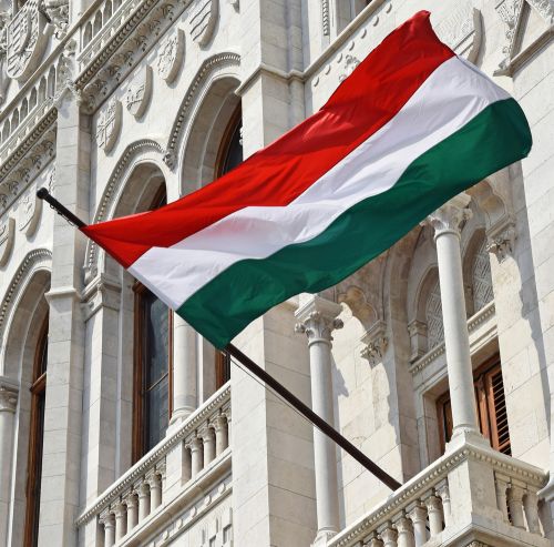 Investitorii germani din Ungaria favorizează euro datorită forintului instabil