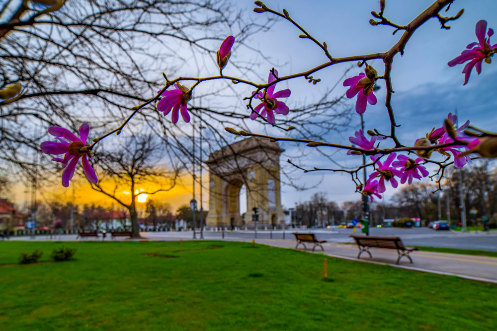 Proiecții de filme rusești anulate în București din cauza acuzațiilor de propagandă