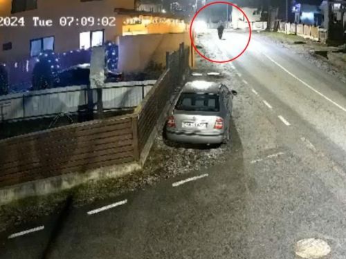 Preotul care a fugit după ce a călcat un om, prins de poliție la sfințire. „Sărutați binecuvântata cruce”