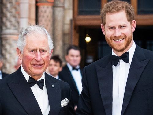 Cine este adevăratul tată al Prințului Harry. Ducele de Sussex a făcut testul ADN: „Zvonul care circula tocmai de atunci...”