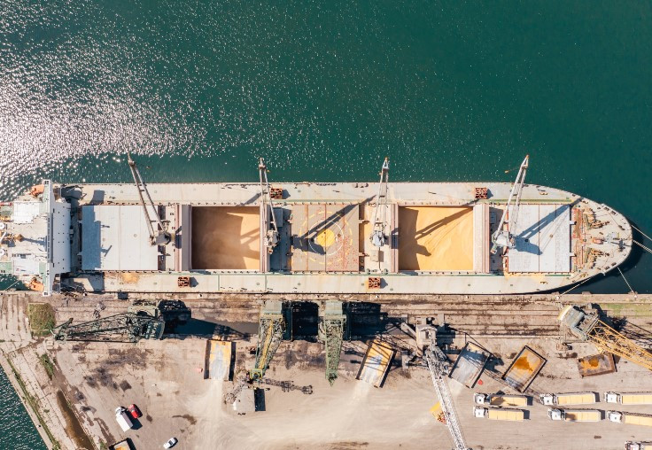 Ucraina anunță înființarea unui coridor umanitar pentru navele blocate în porturile sale de la Marea Neagră, de la începutul războiului