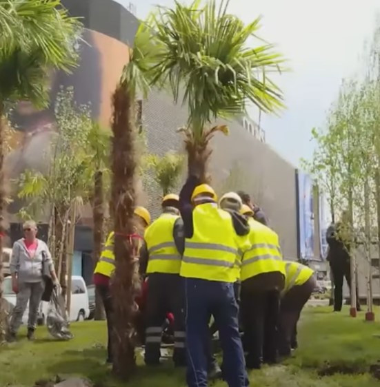 Războiul palmierilor de la Unirii. Nicușor Dan și Robert Negoiță, circ în centrul Bucureștiului. „Nu l-am văzut să planteze măcar o păpădie”