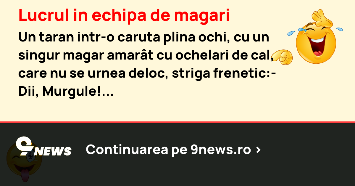 Lucrul in echipa de magari
