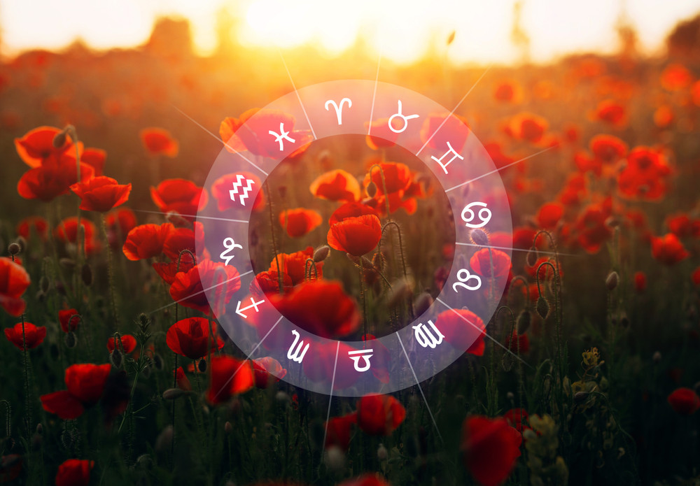 Zodiac floral. Care este floarea aferentă fiecărei zodii