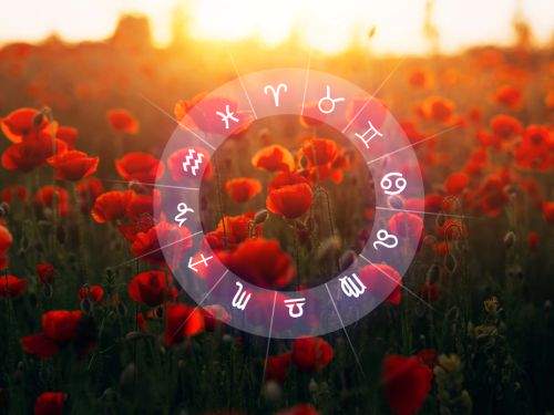 Zodiac floral. Care este floarea aferentă fiecărei zodii