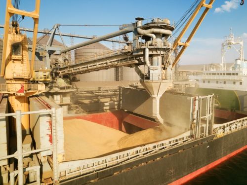 Portul Constanța, sufocat de cerealele ucrainene. Fermierii români ies în pierdere