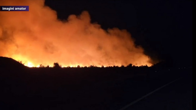 Incendiu violent lângă Penitenciarul Poarta Albă din Constanța. Riscul ca flăcările să ajungă la clădirile în care se aflau deţinuţii era uriaş