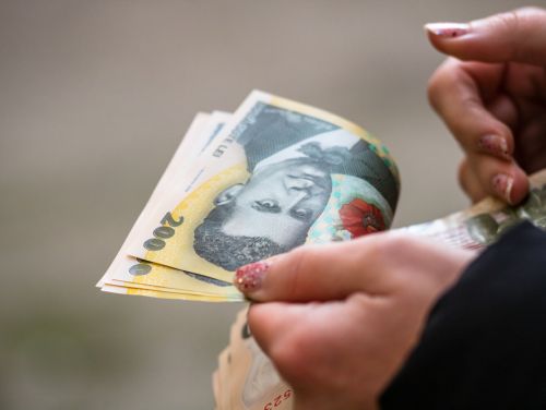 Guvernul majorează salariul minim pe economie în anumite domenii. Ordonanța de urgență va fi adoptată azi