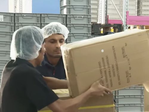 Muncitorii străini câștigă și 6.000 de lei pe lună plus bonusuri. În ce domeniu sunt cele mai mari salarii