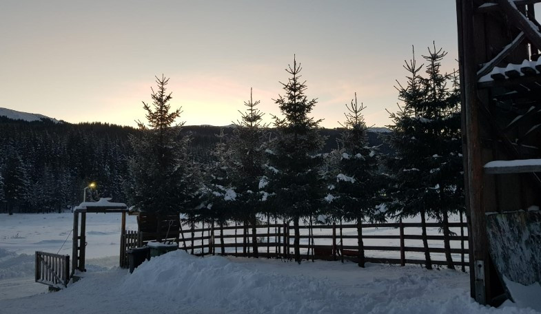 Asociația Montană Carpați și Salvamont România inaugurează împreună primul Centru Național de Educație Montană, în inima Bucegilor