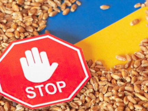 România, cerere către UE pentru a opri importul de cereale din Ucraina. Câte tone de grâne ucrainene au trecut prin țara noastră în ultimele 3 luni