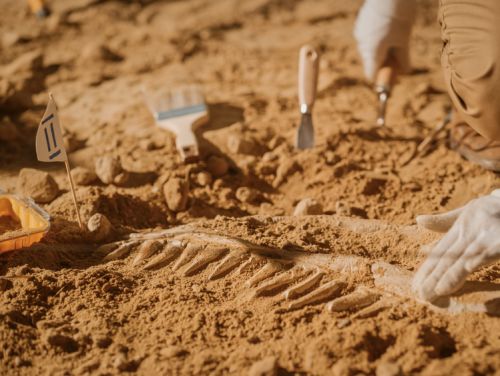 Descoperire macabră într-o necropolă din Polonia. Arheologii au excavat rămășițele unui „vampir”: ar fi fost închis cu un lacăt pentru a nu se întoarce din morți