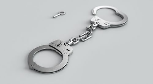 Trei adolescenți arestați pentru jaf armat în SUA
