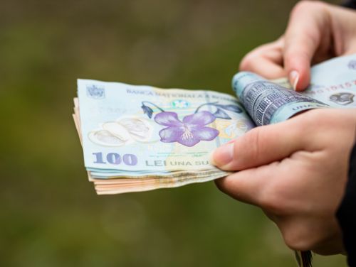 Liderii PNL anunță că nu sunt bani pentru majorările promise de la 1 ianuarie