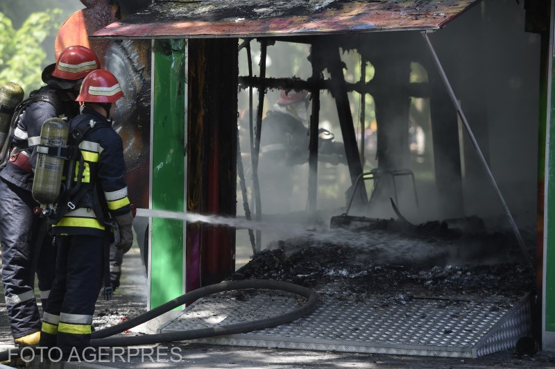 Situație șocantă în Arad. O femeie cu slăbiciune la pompieri a incendiat intenționat de 5 ori casele vecinilor doar ca să vadă militarii în acțiune