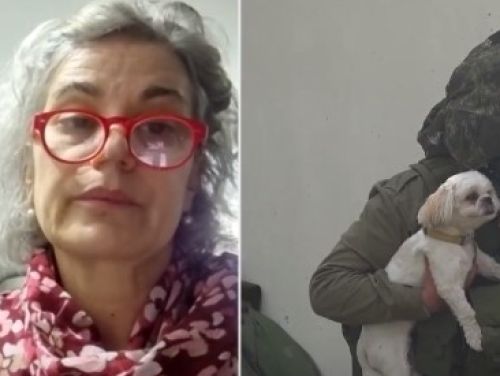 Maia Morgenstern își face griji pentru familia sa din Israel