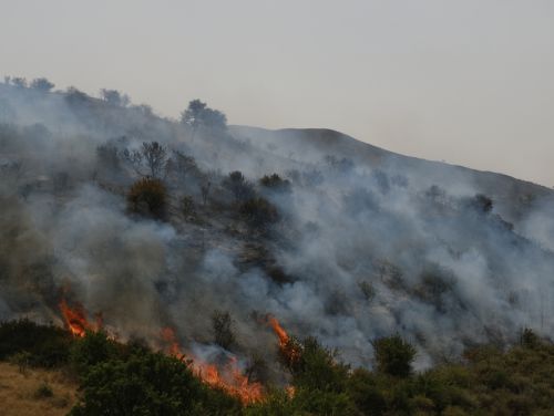 O echipă de 40 de pompieri români pleacă în Franța pentru a lupta cu incendiile de vegetație