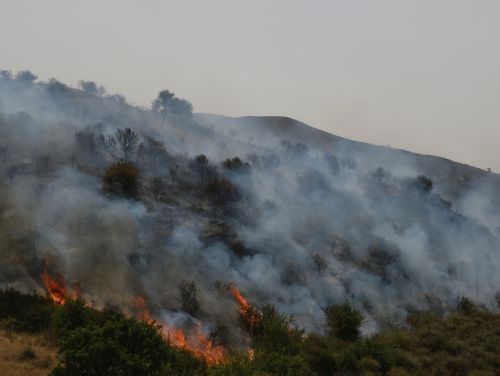 Grecia se confruntă cu alertă de incendii forestiere și evacuări în mai multe localități