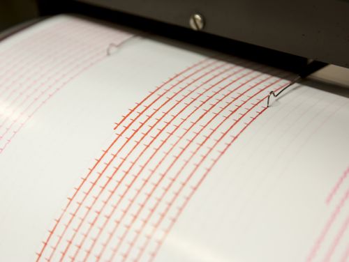 Cutremur puternic în Bulgaria. Ce intensitate a înregistrat seismul și unde a fost resimțit
