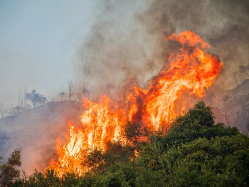 Flăcările pun stăpânire pe Grecia. Incendii în Rodos, Corfu și Evia