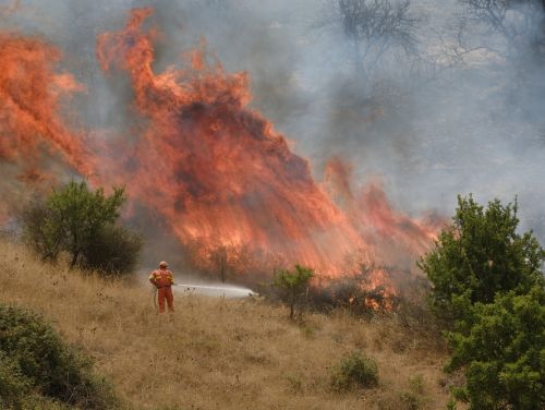Insula Corfu din Grecia, evacuată în regim de urgență din cauza incendiilor de vegetație